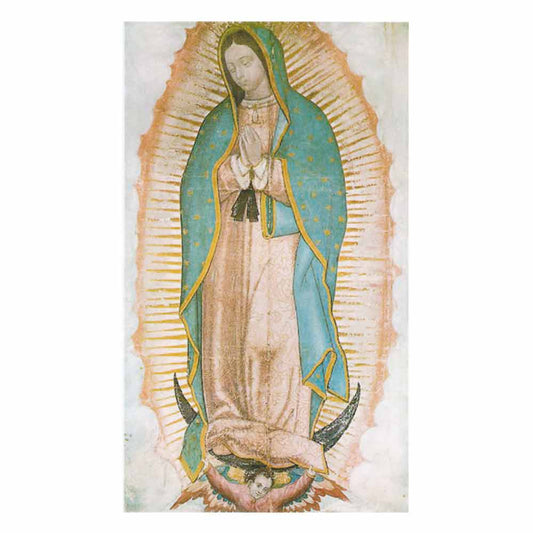 Our Lady of Guadalupe Printed Banner