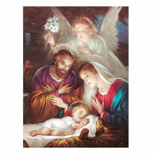 Nativity Printed Banner